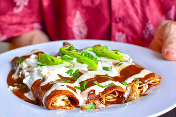 Delicious enchiladas of mole with cheese