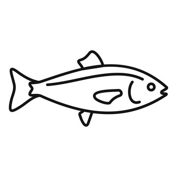 Fish line icon. Fishing vector illustration isolated on white. Seafood  outline style design, designed for web and app. Eps 10. Stock Vector by  ©sabustock 370941916