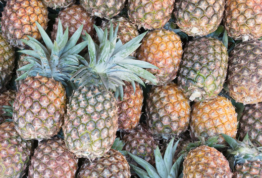 Ripe juicy pineapple background. Pineapple pile on the market