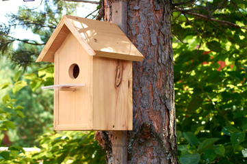 yellow wooden birdhouse in the park on the tree for small birds