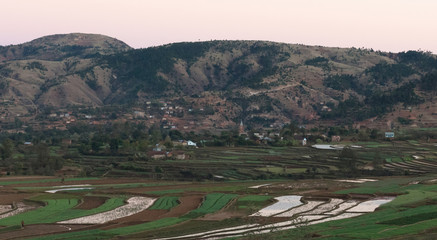 Fototapeta na wymiar Agricultural fields in Madagascar