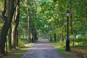 alley in the park on a September morning