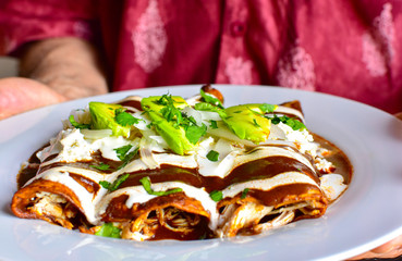 Delicious enchiladas of mole with cheese
