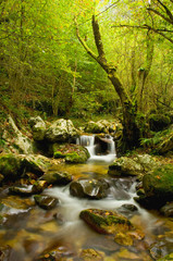 Poo de Cabrales, Natural landscape with waterfalls.