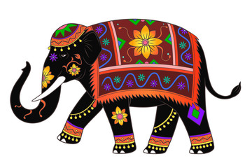 Indian elephant color