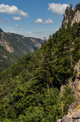 Fototapeta premium Summer Tara Canyon in mountain Durmitor National Park, Montenegro