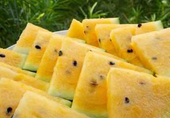 Close-up of yellow watermelon slices triangles on green background