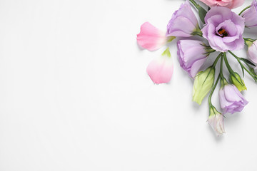 Fototapeta na wymiar Beautiful Eustoma flowers on white background, top view. Space for text