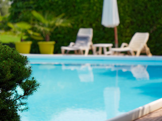 pool with blue water among the green oasis