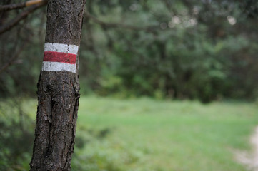 Walking trail marks and signs on trees showing direction for hikers in forest