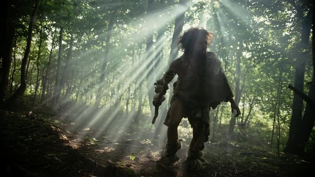 Primeval Caveman Wearing Animal Skin Holds Stone Tipped Spear Looks Around, Explores Prehistoric Forest in a Hunt for Animal Prey. Neanderthal Going Hunting in the Jungle