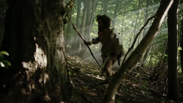 Primeval Caveman Wearing Animal Skin Holds Stone Tipped Spear Looks Around, Explores Prehistoric Forest in a Hunt for Animal Prey. Neanderthal Going Hunting in the Jungle