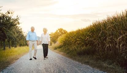 Senior woman and man having a walk along a field