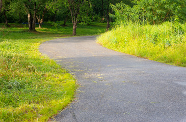 Fototapeta na wymiar The surface of the road, the curved path in the outdoor park