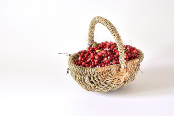 Fototapeta na wymiar Cranberries in a wicker basket on a light background.