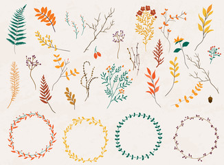 Floral elements. Hand drawn design elements. Collection of autumn flowers, leaves, dandelion, grass. Design for invitation, wedding or greeting cards.