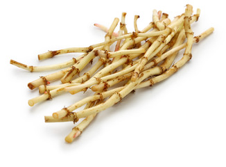 Zhe'ergen, fish mint root,  guizhou cuisine ingredient