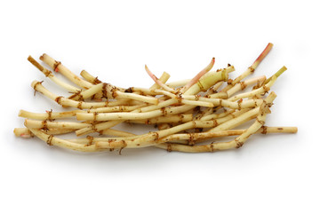 Zhe'ergen, fish mint root,  guizhou cuisine ingredient