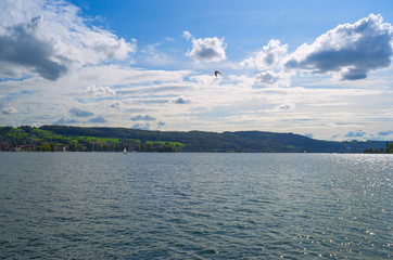 Westernmost region of Lake Constance in the month of September 2019.  After a few cloudy, rainy days, the sun shines and gives off late summer mildness and clarity.