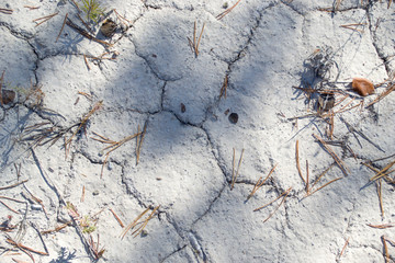 Chalk quarry texture.