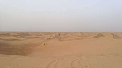 footprints in the sand