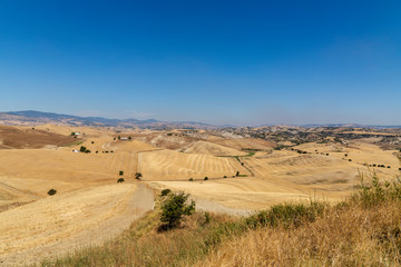 Paesaggio estivo della Basilicata vicino Matera