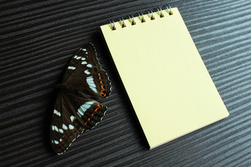 Notepad lies on the table. Next to him is a butterfly.