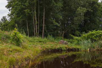 Picturesque view of a small rural pond on a background of trees