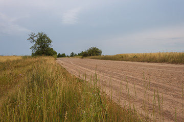 Dirt country road among fields and stormy sky. Scenic landscape with country road before rain