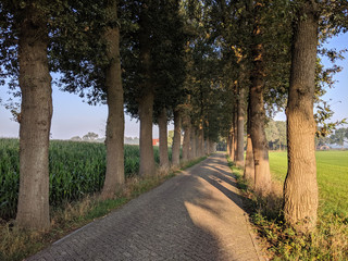 Road around Luttenberg