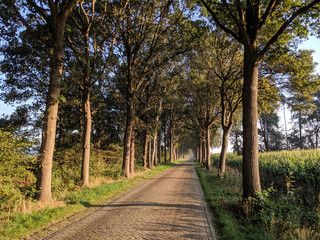 Road around Luttenberg