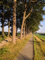 Fototapeta na wymiar Bicycle path around Lemelerveld