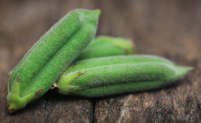 Green sesame pods