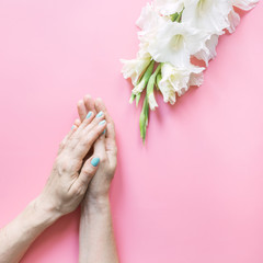 Overhead view woman hands and white flower gladiolus on pink background. Flat lay, top view.