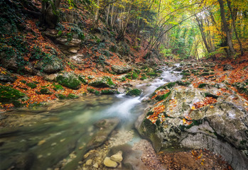 Amazing Autumn landscape. River in colorful autumn park with yellow, orange, red, green leaves. Golden colors in the mountain forest with a small stream. Season specific.