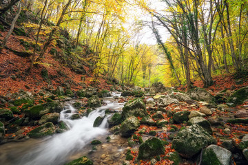 Amazing Autumn landscape. River in colorful autumn park with yellow, orange, red, green leaves. Golden colors in the mountain forest with a small stream. Season specific.