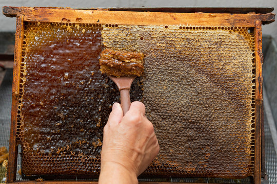  Fresh bee honey from honeycomb