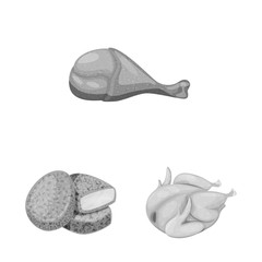 Vector illustration of cuisine and bird logo. Collection of cuisine and poultry stock vector illustration.