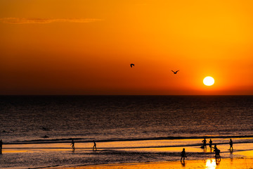 EL PALMAR   CADIZ