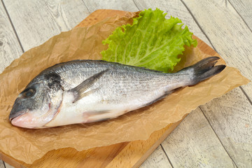 Raw Dorada fish  for cooking