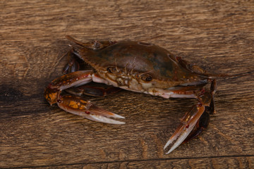 Raw crab - ready for cooking