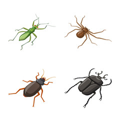 Vector design of insect and fly symbol. Set of insect and entomology vector icon for stock.