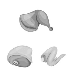 Isolated object of cuisine and bird logo. Collection of cuisine and poultry stock symbol for web.