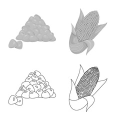 Vector illustration of cornfield and vegetable icon. Set of cornfield and vegetarian stock vector illustration.