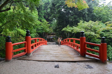 Japão - Hiroshima