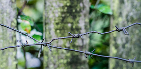 Barbed wire against fence background