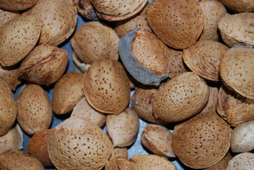 Organic Almond Nuts in Tray