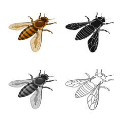 Vector illustration of bumblebee and wild icon. Collection of bumblebee and biology vector icon for stock.