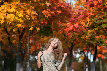 Portrait of a beautiful girl with long blond curly hair in knitted sweater among colorful yellow and red maple trees in autumn park on a warm sunny day. Fall scenery