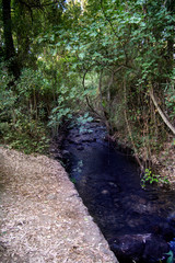 Landscape of a river in summer